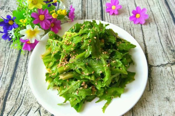 麻酱苦菊的做法图解6