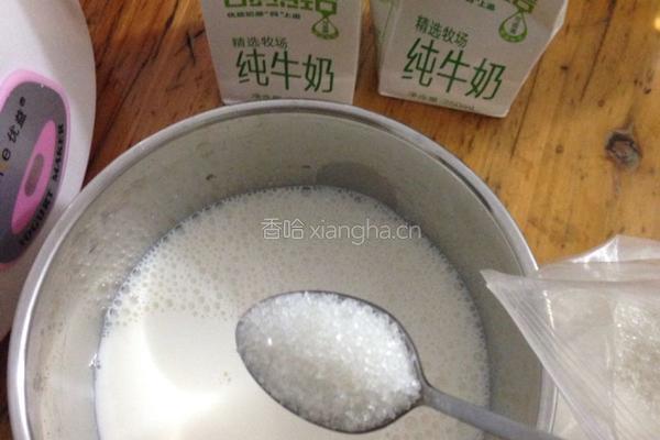 自制酸奶果仁的做法图解3