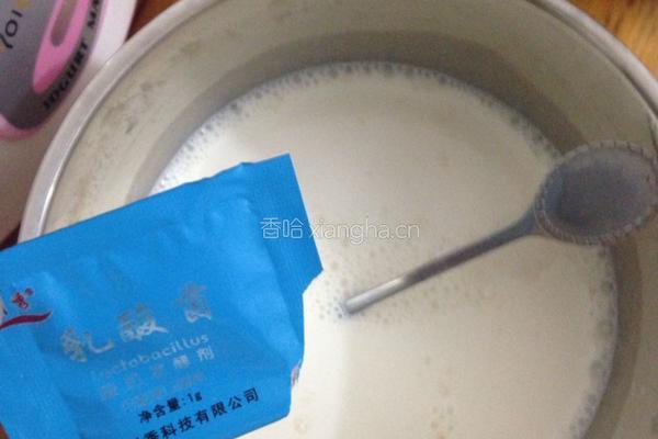 自制酸奶果仁的做法图解4