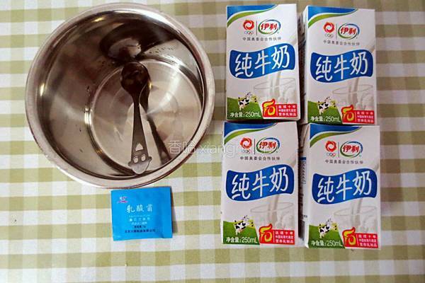 DIYの酸牛奶的做法图解1