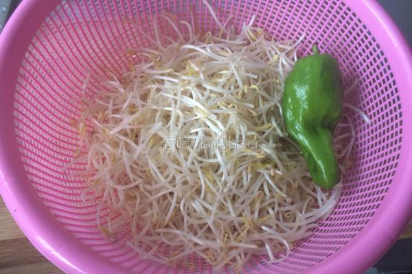 豆芽青椒炒百叶的做法图解1