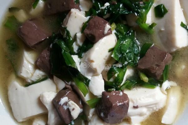 鸭血豆腐的做法图解4