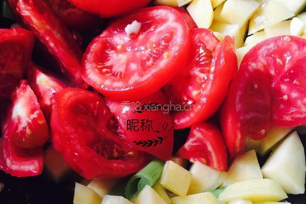 西红柿炖牛腩的做法图解3