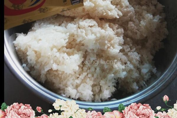醪糟的做法图解3