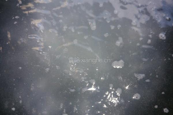 水煮排骨的做法图解8