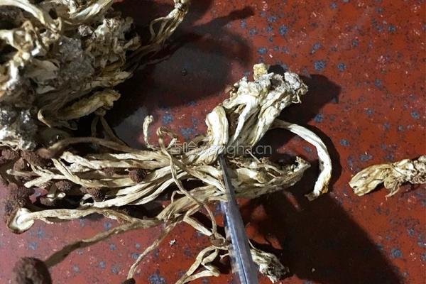 豉香茶树菇回锅肉的做法图解2