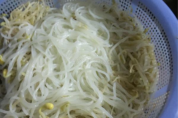 凉拌豆芽粉丝的做法图解1