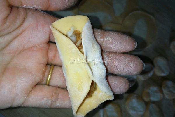 胡萝卜猪肉水饺的做法图解12