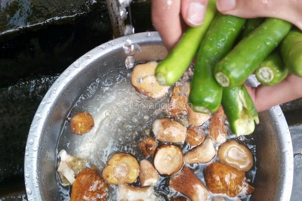 香辣乔巴菌的做法图解4
