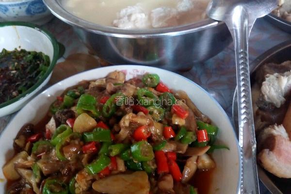 香辣乔巴菌的做法图解8