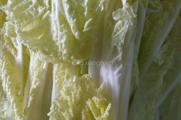 蒜蓉娃娃菜的做法图解1
