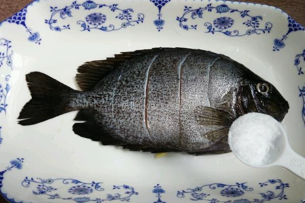 清蒸金鼓馒鱼的做法图解1