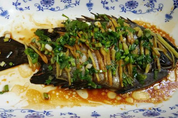 清蒸金鼓馒鱼的做法图解7