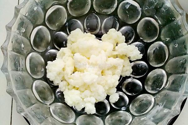 雪莲菌酸奶的做法图解1