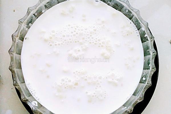 雪莲菌酸奶的做法图解3