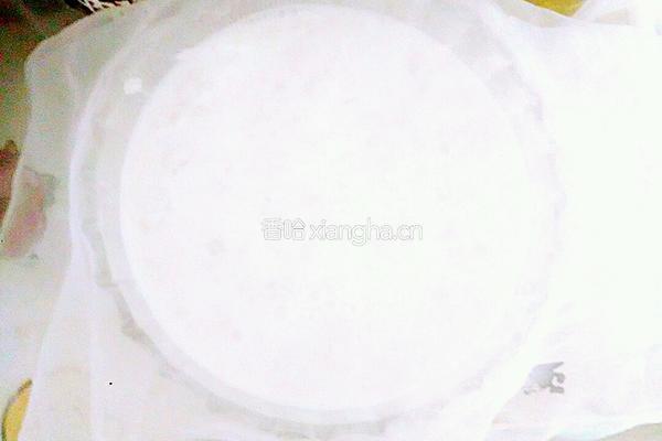 雪莲菌酸奶的做法图解4