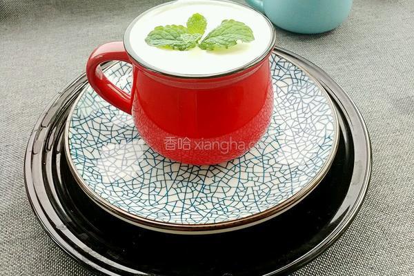 雪莲菌酸奶的做法图解10