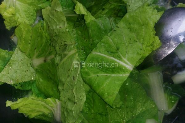 青菜豆腐汤的做法图解7
