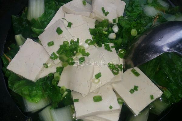 青菜豆腐汤的做法图解8