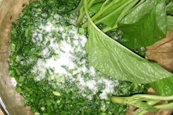 葱油菜面叶的做法图解1