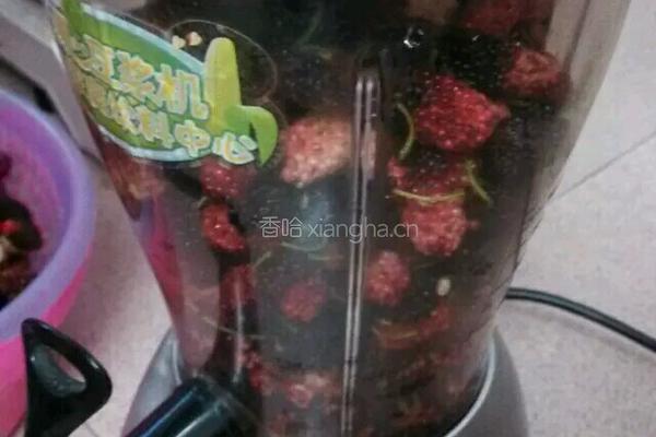 桑葚酿酒的做法图解2