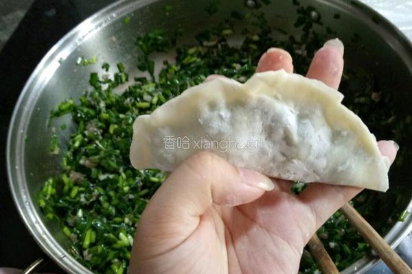 韭菜猪肉饺子的做法图解8
