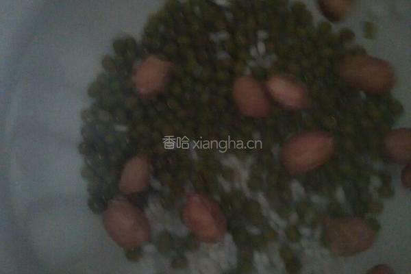 高压锅版绿豆粥的做法图解2