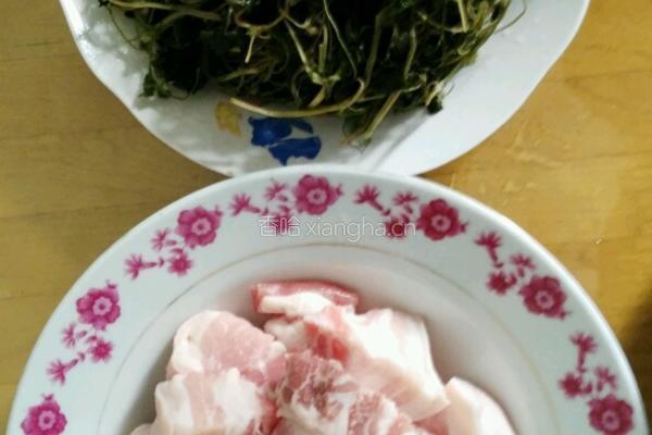 草头干窝肉的做法图解1