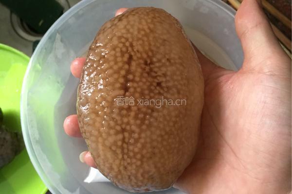 海参瘦肉粥的做法图解1
