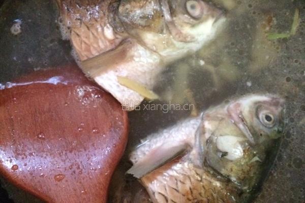 草鱼头豆腐汤的做法图解4