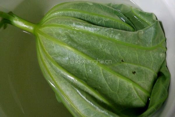荷叶饭的做法图解1