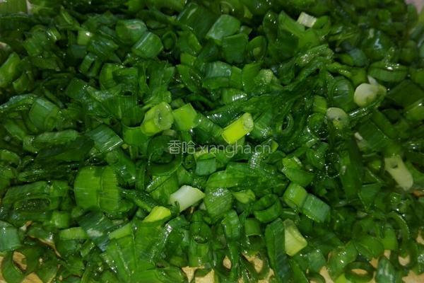 葱油饼的做法图解3