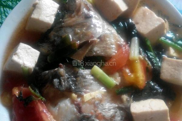 豆腐焖鱼的做法图解5