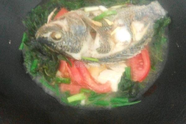 豆腐焖鱼的做法图解4