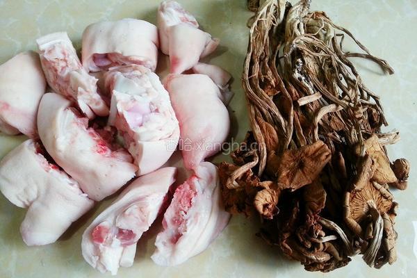 茶树菇烧猪蹄的做法图解1
