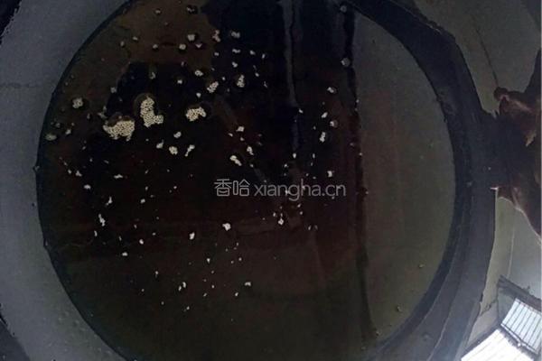 【香煎小鲫鱼】的做法图解4