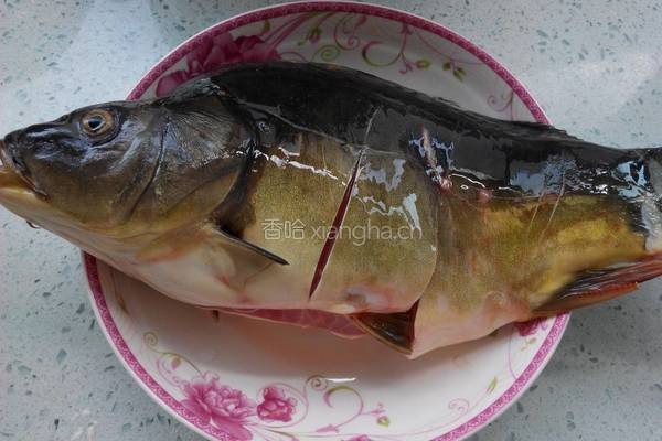 家常炖鲤鱼的做法图解3
