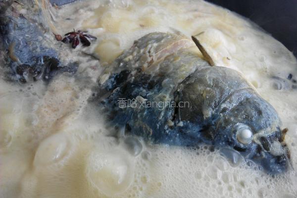 家常炖鲤鱼的做法图解8