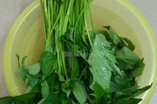 蒜香红薯叶的做法图解1