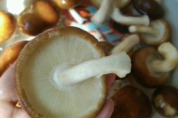 耗油香菇烧鸡翅的做法图解2