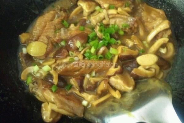 耗油香菇烧鸡翅的做法图解14