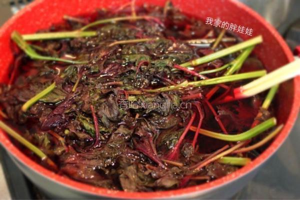 酸甜紫苏汁的做法图解5