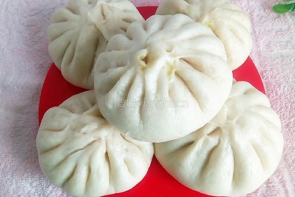酸菜肉包的做法图解17