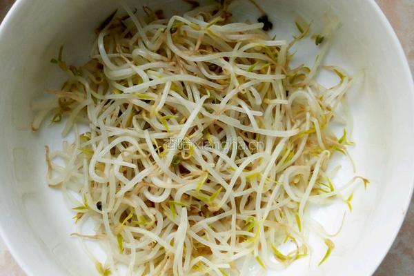 凉拌黄瓜豆芽胡萝卜的做法图解2