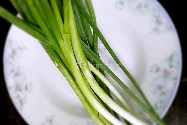 天津名小吃的做法图解2