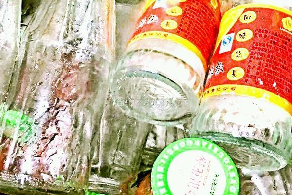 原味西红柿酱的做法图解3