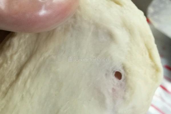 益糖经典白土司(糖尿病糖友食谱)的做法图解8