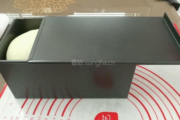 益糖经典白土司(糖尿病糖友食谱)的做法图解17
