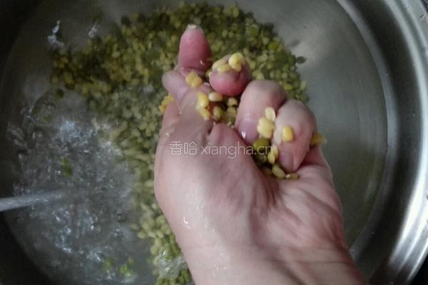 绿豆桂花糕的做法图解3