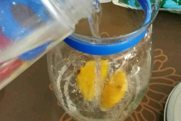 益糖柠檬椰果果冻(糖尿病糖友食谱)(减肥瘦身适用)的做法图解11